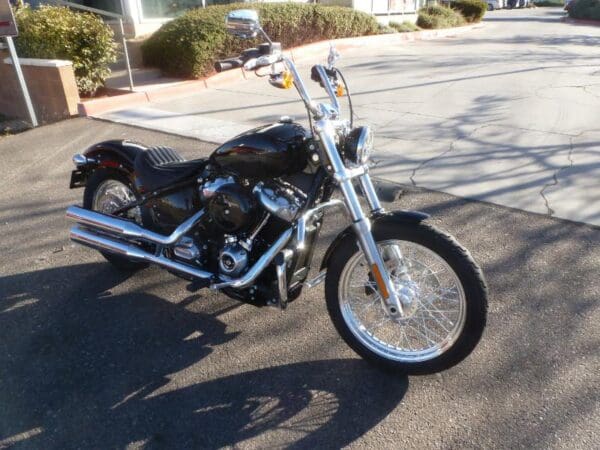 2021 Harley-Davidson FXST