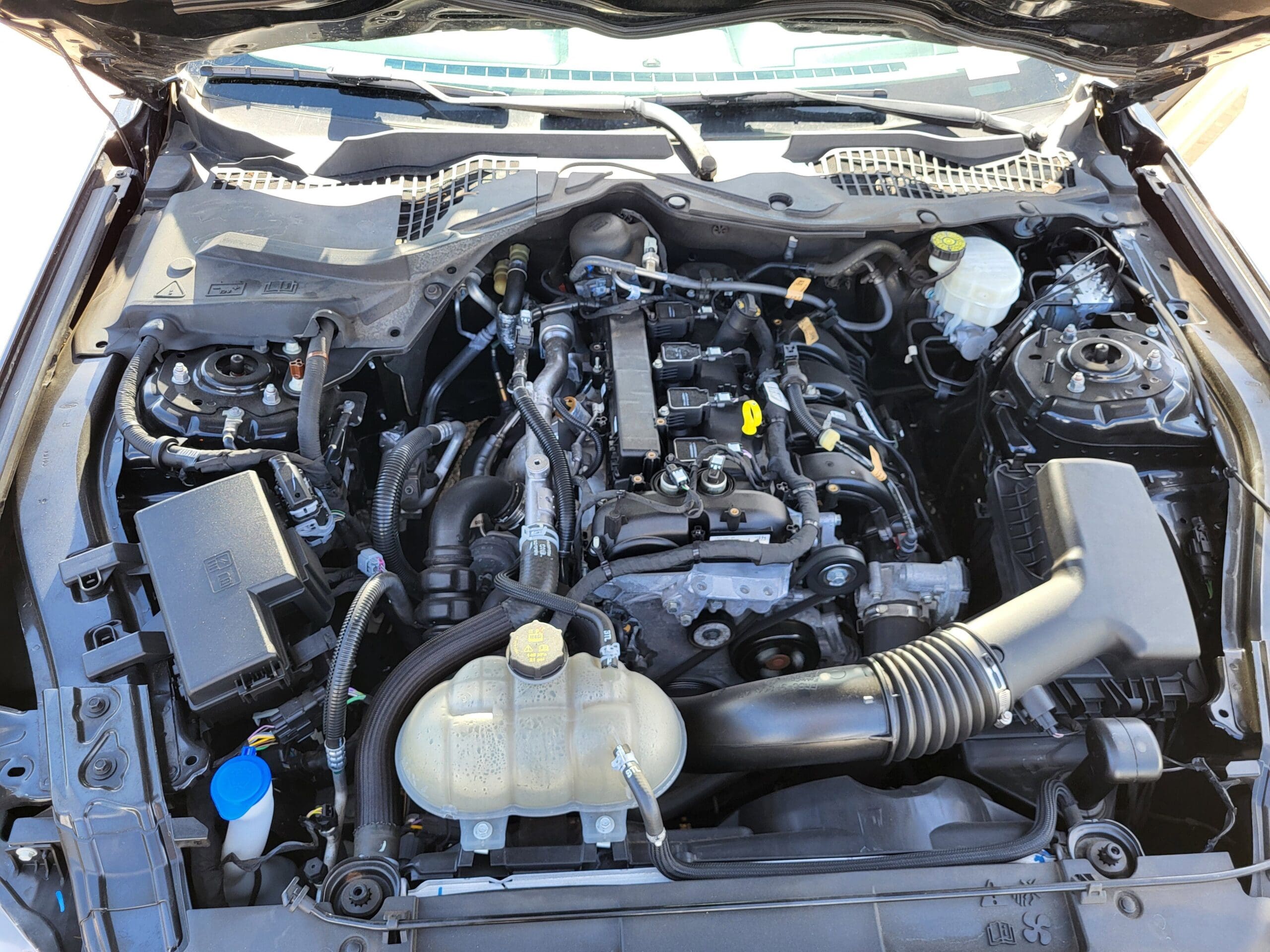 2023 Ford Mustang - Image 20