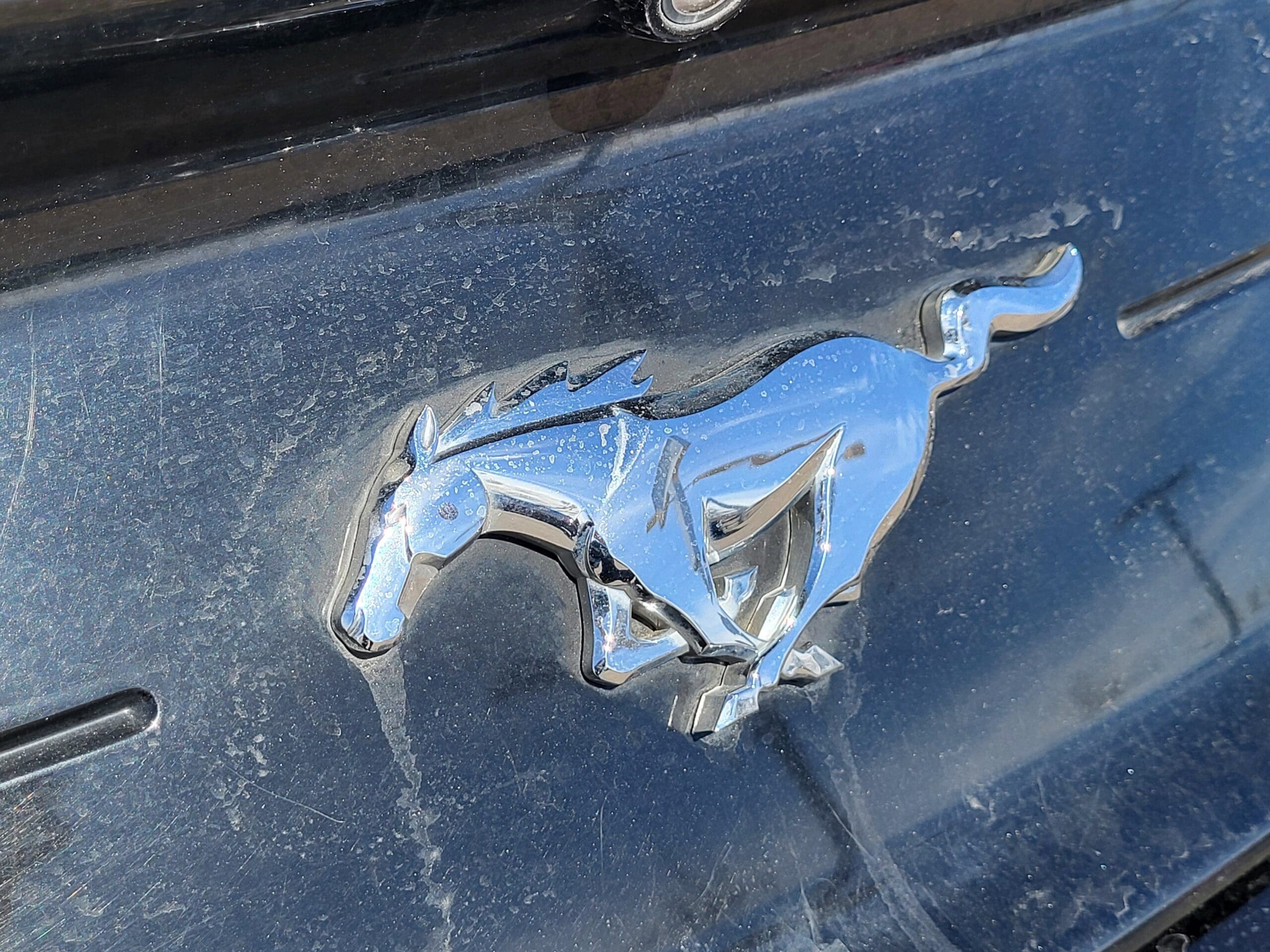 2023 Ford Mustang - Image 7