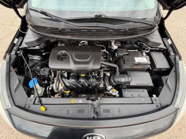 2018 Kia Rio