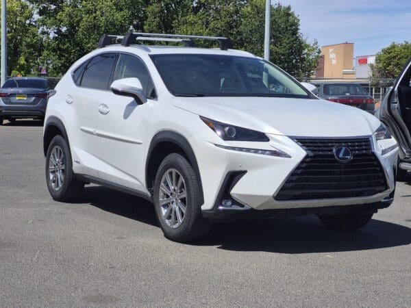 2021 Lexus NX