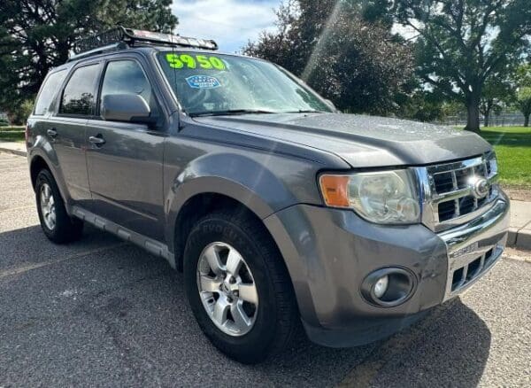 2010 Ford Escape