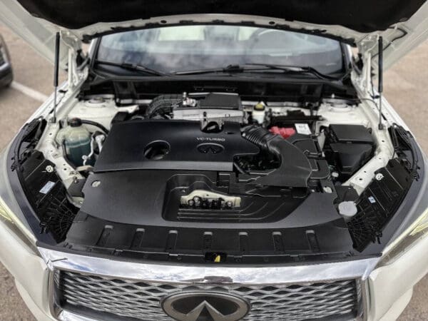 2019 Infiniti QX50