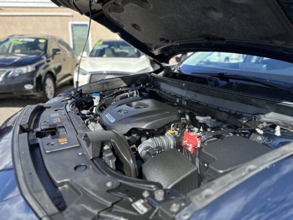 2019 Mazda CX-9
